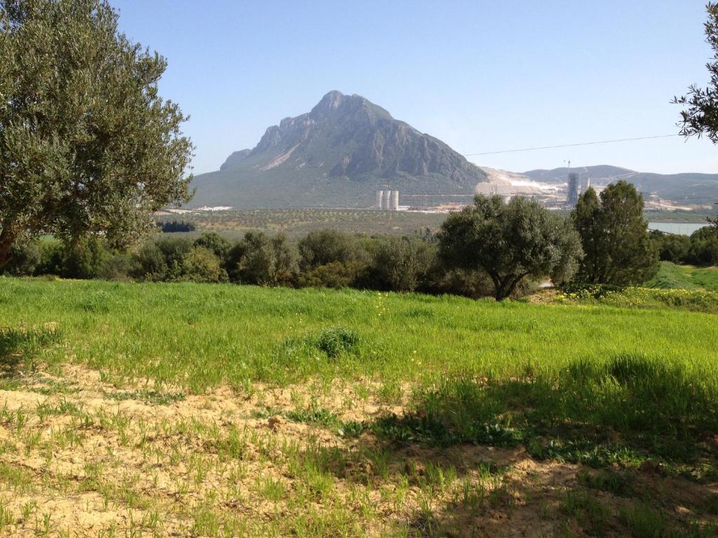 Bed and Breakfast Dar Salima Mornag Exterior foto