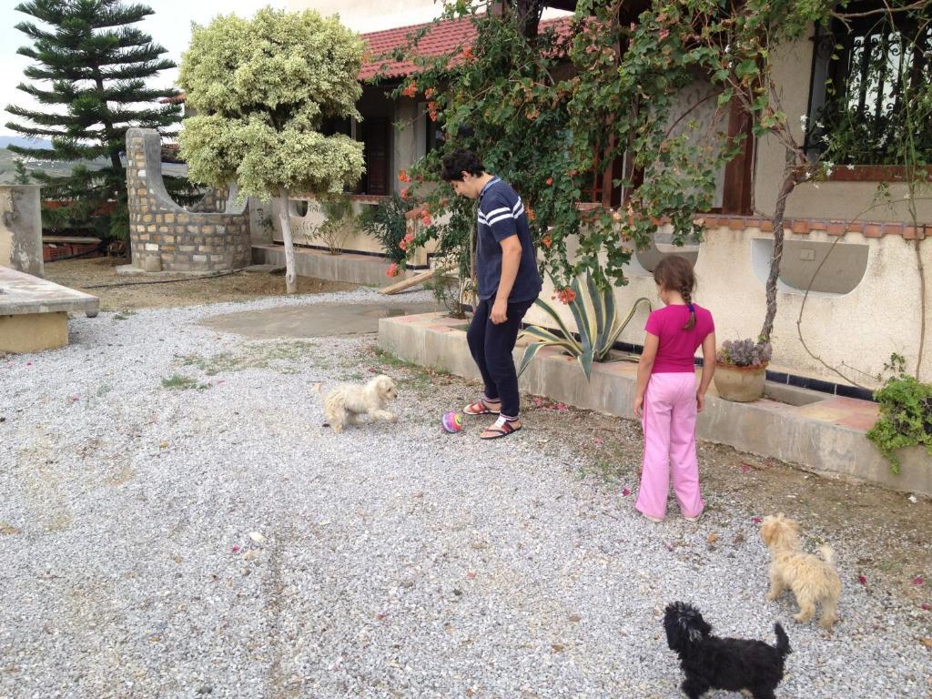 Bed and Breakfast Dar Salima Mornag Exterior foto
