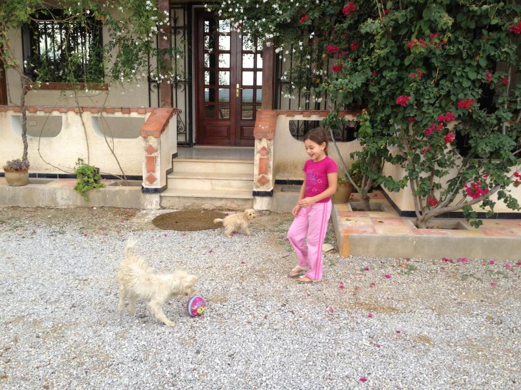 Bed and Breakfast Dar Salima Mornag Exterior foto